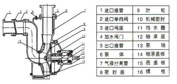 1445225535354327.jpg zw-.jpg