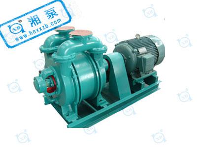 1615423128585017.jpg SK型水環(huán)真空泵.jpg