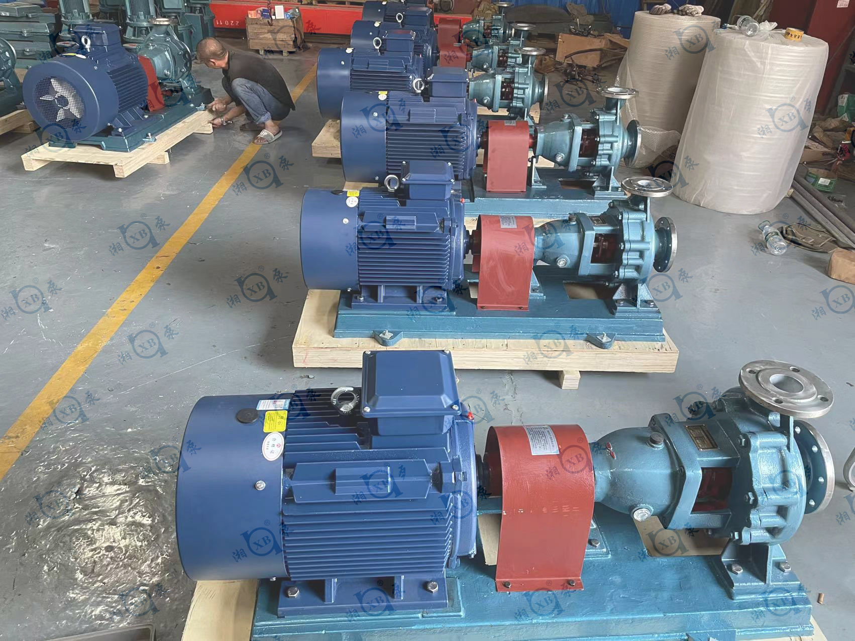 1667897148433631.jpg 1667897148433631.jpg