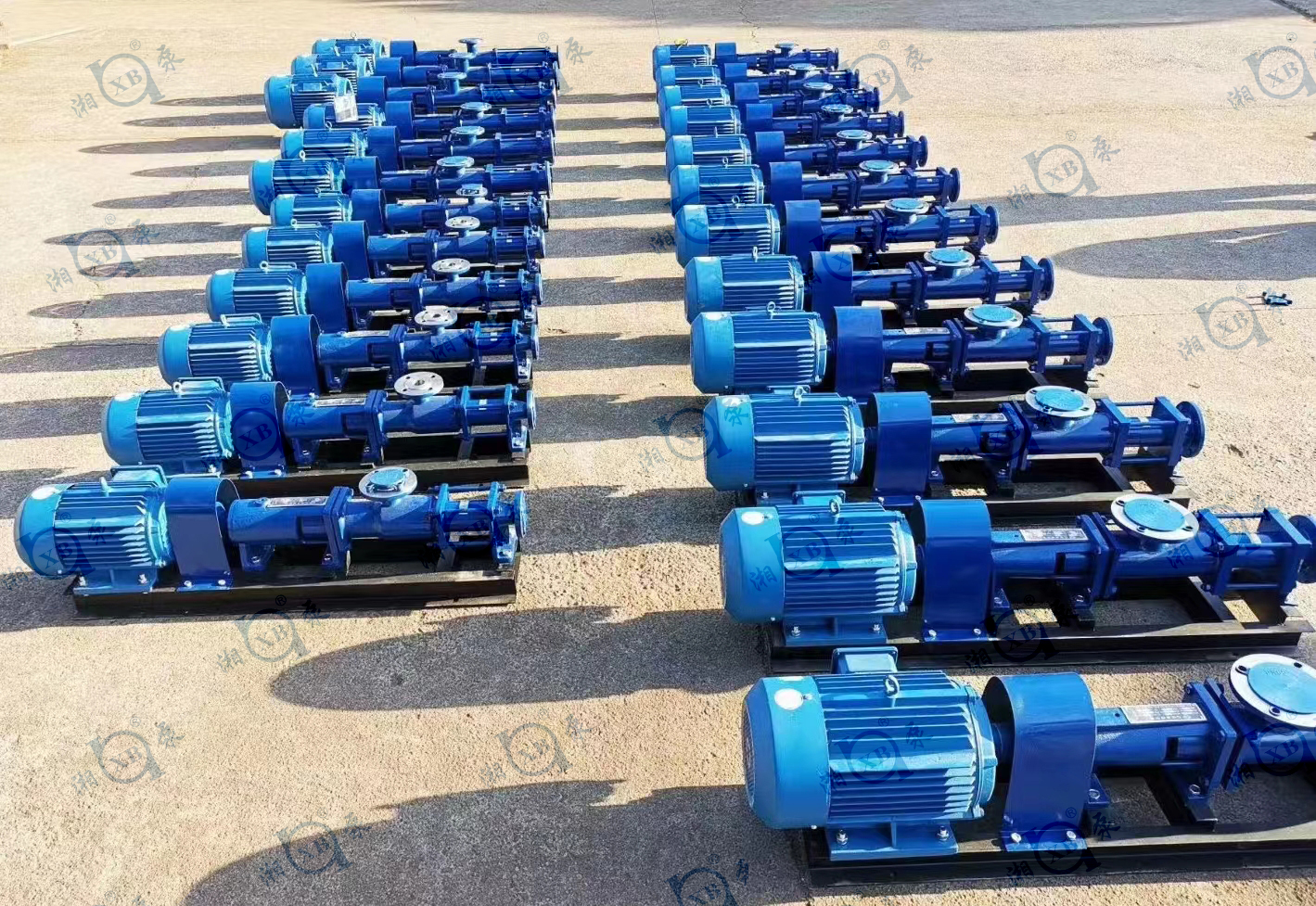 1667979666697373.jpg 1667979666697373.jpg